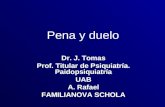 Pena y duelo Dr. J. Tomas Prof. Titular de Psiquiatría. Paidopsiquiatría UAB A. Rafael FAMILIANOVA SCHOLA.