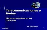 1 Telecomunicaciones y Redes Sistemas de Información Gerencial Ing. Marvin Molina UCAD 2009.