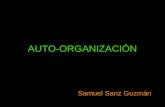 AUTO-ORGANIZACIÓN Samuel Sanz Guzmán. AUTO-ORGANIZACIÓN / SELF-ORGANIZATION El de auto-organización es un concepto que, gradualmente, ha ido cobrando.