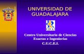 UNIVERSIDAD DE GUADALAJARA Centro Universitario de Ciencias Exactas e Ingenierias C.U.C.E.I.