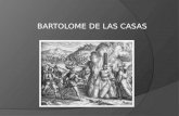 BARTOLOME DE LAS CASAS. BIOGRAFIA Bartolomé de Las Casas O.P. (Sevilla 24 de agosto de 1484 – Madrid, 17 de julio de 1566) fue un fraile dominico español,