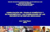 VISIBILIZACIÓN DEL TRABAJO DOMÉSTICO Y EXTRADOMÉSTICO: LAS POSIBILIDADES DE LAS ENCUESTAS DE EMPLEO MEXICANAS Juan Trejo Magos INEGI VISIBILIZACIÓN DEL.