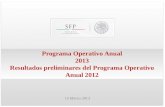 Programa Operativo Anual 2013 Resultados preliminares del Programa Operativo Anual 2012 15 Marzo 2013.