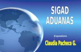 Expositora :. SIGAD - ADUANAS El SIGAD nos brinda información a través del Portal SUNAT Regímenes Definitivos Regímenes Temporales Regímenes Suspensivos.