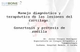 Ponencia Dr Javier Vázquez Domínguez - Jornada de Actualización de conceptos en patología de rodilla