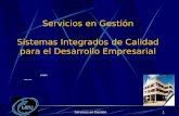 Servicios en Gestión1 Servicios en Gestión Sistemas Integrados de Calidad para el Desarrollo Empresarial COMEX Diciembre 2004.