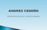 ANDRES CEDEÑO PRESENTACION DE CLASIFICADORES. CLASIFICACION INDUSTRIAL NACIONAL UNIFORME DE TODAS LAS ACTIVIDADES ECONOMICAS (CINU), REV.4.