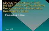 SHALE PETROLEO Y GAS RESERVORIO VACA MUERTA Preocupaciones Ambientales: Realidades y mitos Ing.José Luis Inglese. - mayo 2013 mayo 2013.