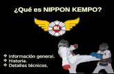 ¿Qué es NIPPON KEMPO? Información general. Historia. Detalles técnicos.