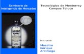 Tecnológico de Monterrey Campus Toluca Seminario de Inteligencia de Mercados Instructor Maestro Enrique Arciniega.
