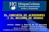 Javier López y García de la Serrana Abogado – Director de HispaColem Doctor en Derecho – Administrador Concursal Presidente del Instituto de Estudios Financieros.
