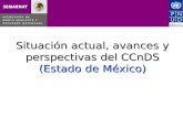 Situación actual, avances y perspectivas del CCnDS (Estado de México)