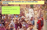 DOMINGO DE RAMOS EN LA PASION DEL SEÑOR * Introducción * Bendición de Ramos * Procesión * Eucaristía.
