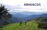 ARHUACOS ALGUNAS FUENTES: Arhuaco, //es.wikipedia.org/wiki/Arhuaco Portal Cultural de la Región Andina,