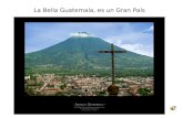 La Bella Guatemala, es un Gran País. En la Selva Tropical, nuestro mayor tesoro natural.