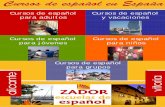 Cursos de Español en España: Escuelas de idiomas en  Alicante y Vitoria  2009