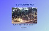 1 SENDERISMO IES Saavedra Fajardo Murcia. 2 EL SENDERISMO: ¿EN QUÉ CONSISTE?