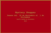 Mystery Shopper Semana del 25 de Noviembre al 1 de Diciembre Cuarta Semana de Noviembre 2013.