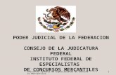 Instituto Federal de Especialistas de Concursos Mercantiles1 PODER JUDICIAL DE LA FEDERACION CONSEJO DE LA JUDICATURA FEDERAL INSTITUTO FEDERAL DE ESPECIALISTAS.