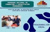 Programación nacional de formación y capacitación permanente