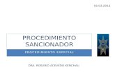 PROCEDIMIENTO ESPECIAL PROCEDIMIENTO SANCIONADOR DRA. ROSARIO ACEVEDO KENCHAU 05.03.2013.