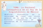 TEMA: La Pastoral Catequética en el Hoy de la Arquidiócesis de México OBJETIVO: Profundizar en la necesidad de crear una visión general de lo que ha de.