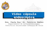 Video cápsula endoscópica Dra. Paula Rey/ Dr. Patricio Ibáñez Departamento de Gastroenterología Pontificia Universidad Católica de Chile.