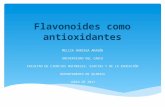 Presentación de Flavonoides como antioxidantes
