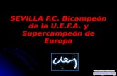 SEVILLA F.C. Bicampeón de la U.E.F.A. y Supercampeón de Europa.