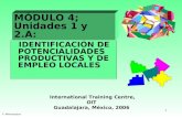 1 IDENTIFICACIÓN DE POTENCIALIDADES PRODUCTIVAS Y DE EMPLEO LOCALES F. Alburquerque MÓDULO 4; Unidades 1 y 2.A: International Training Centre, OIT Guadalajara,