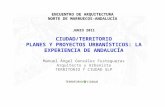 Ciudad / Territorio. Planes y Proyectos Urbanísticos: La Experiencia de Andalucía