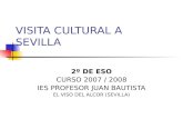 Visita Cultural A Sevilla