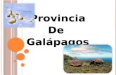provincia de galapagos