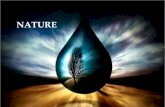 Pensamientos Filosoficos 7  Naturaleza