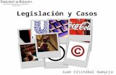 Legislación y Casos Juan Cristóbal Gumucio Sch.. Panorámica legal 1.Derechos de Propiedad Intelectual 2.Derecho a la Imagen 3.Competencia Desleal.