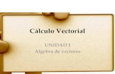 CALCULO VECTORIAL U1