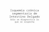 Isquemia crónica segmentaria de Intestino Delgado Sólo se diagnostica lo que se sospecha.