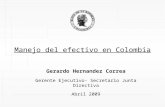 Manejo del efectivo en Colombia Gerardo Hernandez Correa Gerente Ejecutivo- Secretario Junta Directiva Abril 2009.