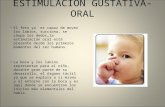 ESTIMULACIÓN GUSTATIVA-ORAL El feto ya es capaz de mover los labios, succiona, se chupa los dedos…la estimulación oral está presente desde los primeros.