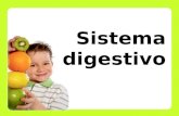 -Describir la anatomía y fisiología del sistema digestivo. -Explicar los mecanismos que permiten llevar a cabo la digestión de los alimentos. -Identificar.