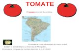 TOMATE El tomate viene de Suramérica. El tomate se cosecha después de marzo o abril. Existen el tomate blanco y el tomate de Montpellier. El tomate se.