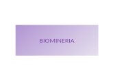 BIOMINERIA. El término "biominería. se empezó a usar, según dio cuenta el especialista, en torno de uno de los metales cuyo uso intensivo por la humanidad.