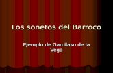 Los sonetos del Barroco Ejemplo de Garcilaso de la Vega.