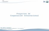 Proyectos de Cooperación Internacional Raúl Medina Santamaría Instituto de Hidráulica Ambiental IH Cantabria Universidad de Cantabria.