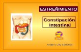 ESTREÑIMIENTO Constipación Intestinal Intestinal Angel y Lilly Sanchez.