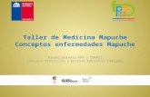 Financiamiento FPA y CONADI Concurso Protección y Gestión Ambiental Indígena Taller de Medicina Mapuche Conceptos enfermedades Mapuche.