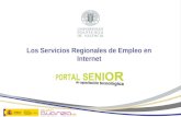 Servicios regionales de empleo en internet