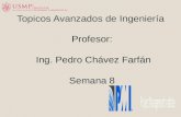 Topicos Avanzados de Ingeniería Profesor: Ing. Pedro Chávez Farfán Semana 8.
