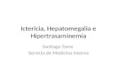 Ictericia, Hepatomegalia e Hipertrasaminemia Santiago Tome Servicio de Medicina Interna.