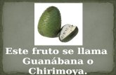 Este fruto se llama Guanábana o Chirimoya.. La Guanábana o la fruta del árbol de Graviola es un producto milagroso para matar las células cancerosas.